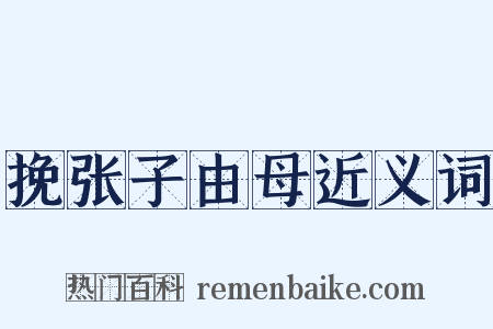 挽张子由母近义词是什么意思的图片